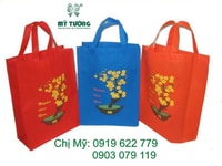 Quà tặng Túi vải không dệt Mỹ Tường Quà tặng Túi vải không dệt Mỹ Tường