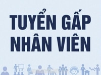 Quán Rừng và Biển, cần gấp đầu bếp, phụ bếp, phục vụ và tạp vụ Quán Rừng và Biển, cần gấp đầu bếp, phụ bếp, phục vụ và tạp vụ