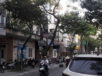 Bán nhà mặt tiền 9m Mặt Phố Hàng Bún 83m 6 Tầng Đông Nam 45 Tỷ Bán nhà mặt tiền 9m Mặt Phố Hàng Bún 83m 6 Tầng Đông Nam 45 Tỷ