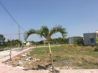 Cần bán đất gần KCN Cầu Tràm giá 850 triệu gốc hai mặt tiền SHR Cần bán đất gần KCN Cầu Tràm giá 850 triệu gốc hai mặt tiền SHR