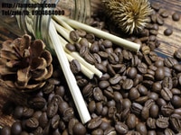 Cà phê hạt rang mộc pha máy espresso cao cấp giá sỉ tại Q.Tân Phú Cà phê hạt rang mộc pha máy espresso cao cấp giá sỉ tại Q.Tân Phú
