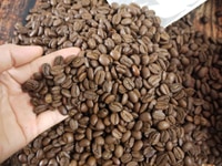 Cà phê sạch nguyên chất Robusta,Culi,Arabica cầu đất giá bán sỉ Hcm Cà phê sạch nguyên chất Robusta,Culi,Arabica cầu đất giá bán sỉ Hcm