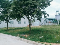 Bán đất thổ cư 300m2 giá 630tr/150m2, bán nhanh(chính chủ bán nhanh) Bán đất thổ cư 300m2 giá 630tr/150m2, bán nhanh(chính chủ bán nhanh)