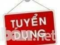 Tuyển kế toán không cần kinh nghiệm nhận việc làm ngay. Tuyển kế toán không cần kinh nghiệm nhận việc làm ngay.