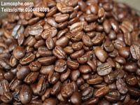 Cà phê hạt Arabica Cầu Đất chế biến honey cao cấp xuất khẩu Cà phê hạt Arabica Cầu Đất chế biến honey cao cấp xuất khẩu