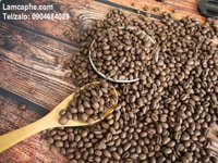 Cà phê hạt rang nguyên chất Culi Robusta chế biến Honey cao cấp giá sỉ Cà phê hạt rang nguyên chất Culi Robusta chế biến Honey cao cấp giá sỉ