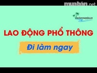 Tuyển lao động phổ thông bán hàng tại quầy Tuyển lao động phổ thông bán hàng tại quầy
