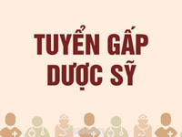 Cần tuyển nhân viên trung cấp Dược làm việc tại công ty Cần tuyển nhân viên trung cấp Dược làm việc tại công ty