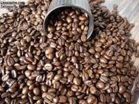 Cà phê sạch sản xuất công nghệ cao cung cấp giá sỉ Quận Gò Vấp, Hcm Cà phê sạch sản xuất công nghệ cao cung cấp giá sỉ Quận Gò Vấp, Hcm