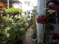 Bán nhà hẻm Đồng Nai 118m2 ngân hàng hỗ trợ 70% Bán nhà hẻm Đồng Nai 118m2 ngân hàng hỗ trợ 70%
