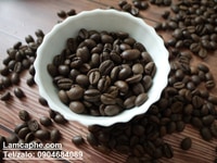 Cafe hạt Robusta giống thuần chủng Chế biến ướt, rang công nghệ cao Cafe hạt Robusta giống thuần chủng Chế biến ướt, rang công nghệ cao