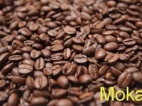 Cung cấp cafe nhân, rang mộc rang xay nguyên chất Cung cấp cafe nhân, rang mộc rang xay nguyên chất
