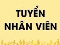 Công ty cần tuyển nhân viên nhân sự làm việc tại công ty. Công ty cần tuyển nhân viên nhân sự làm việc tại công ty.