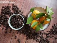 Cafe nguyên chất Đắc Lắc, cung cấp giá sỉ thị xã Hà Tiên, Kiên Giang Cafe nguyên chất Đắc Lắc, cung cấp giá sỉ thị xã Hà Tiên, Kiên Giang