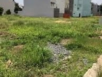 Bán gấp 500m2 đất thổ vườn(trong đó có 120m2 là đất thổ cư),Shr Bán gấp 500m2 đất thổ vườn(trong đó có 120m2 là đất thổ cư),Shr