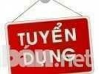 Tuyển Nhân viên Marketing Online hỗ trợ văn phòng Tuyển Nhân viên Marketing Online hỗ trợ văn phòng