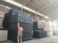 Ván ép phủ phim chất lượng cao Ván ép phủ phim chất lượng cao