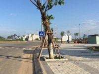 Chính chủ bán nhanh lô đất đường trục chính 27m khu đô thị 7B Chính chủ bán nhanh lô đất đường trục chính 27m khu đô thị 7B