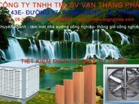 Công ty TNHH TM- DV Vạn Thắng Phát Công ty TNHH TM- DV Vạn Thắng Phát