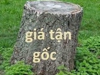 Cần bán lô đất gấp xã minh thành chơn thành bình phước sổ hồng cầm tay Cần bán lô đất gấp xã minh thành chơn thành bình phước sổ hồng cầm tay