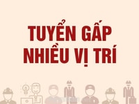 Công ty cần bổ sung thêm nhân sự cho KV.TP.HCM Công ty cần bổ sung thêm nhân sự cho KV.TP.HCM
