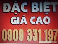 Cần mua xe 2-4 bánh sử dụng kinh doanh giá cao Cần mua xe 2-4 bánh sử dụng kinh doanh giá cao