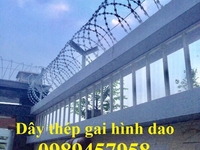 Dây kẽm lam, dây kẽm gai hình dao giá rẻ nhất Đà Nẵng Dây kẽm lam, dây kẽm gai hình dao giá rẻ nhất Đà Nẵng