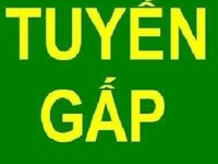 Cần tuyển gấp nhân viên giao chở hàng cho đại lý. Cần tuyển gấp nhân viên giao chở hàng cho đại lý.