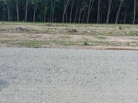 Ký gửi đất nền Chơn Thành,Bình Phước giá cao,ký gửi tất cả diện tích ở Ký gửi đất nền Chơn Thành,Bình Phước giá cao,ký gửi tất cả diện tích ở