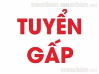Công ty cần tuyển 01 nhân viên hành chính nhân sự . Công ty cần tuyển 01 nhân viên hành chính nhân sự .