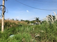 Cho thuê 4000m Nhà đất MT lê Văn Lương. Thích hợp nhà hàng, xưởng bãi. Cho thuê 4000m Nhà đất MT lê Văn Lương. Thích hợp nhà hàng, xưởng bãi.
