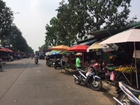 Chính chủ bán lỗ 450m2 thổ cư 100% sổ hồng ngay chợ tự phát mỹ phước 3 Chính chủ bán lỗ 450m2 thổ cư 100% sổ hồng ngay chợ tự phát mỹ phước 3