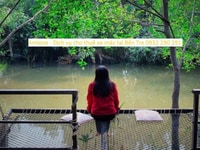 Cho thuê xe máy du lịch Homestay tại Bến Tre Cho thuê xe máy du lịch Homestay tại Bến Tre