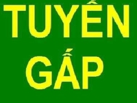 Cần gấp 03nam nữ bán hàng tại cửa hàng tại siêu thị tiện lợi Cần gấp 03nam nữ bán hàng tại cửa hàng tại siêu thị tiện lợi
