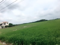 Bán đất chính chủ - Xã Vĩnh Thanh - Sổ hồng riêng Bán đất chính chủ - Xã Vĩnh Thanh - Sổ hồng riêng