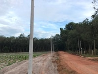 Đất mặt tiền liên xã , lộ giới 32m đổ nhựa 500m2 thổ cư Đất mặt tiền liên xã , lộ giới 32m đổ nhựa 500m2 thổ cư