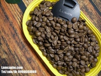Cung cấp cafe hạt sạch nguyên chất tại Quận 10 hồ chí minh Cung cấp cafe hạt sạch nguyên chất tại Quận 10 hồ chí minh
