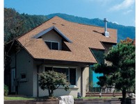 Ngói châu âu cho ngôi nhà việt Ngói châu âu cho ngôi nhà việt