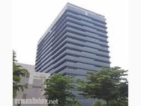 Cho thuê Tòa nhà Văn phòng 1000m2*7 tầng trung tâm cầu giấy Lh 0 Cho thuê Tòa nhà Văn phòng 1000m2*7 tầng trung tâm cầu giấy Lh 0