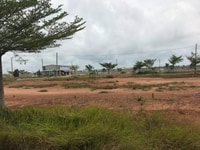Thanh lý 315m2 275 triệu đất sổ hồng riêng chơn thành bình phước Thanh lý 315m2 275 triệu đất sổ hồng riêng chơn thành bình phước