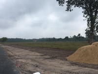 Lô đất gần ngay chợ Tân Khai diện tích 450m2 đất sổ riêng Lô đất gần ngay chợ Tân Khai diện tích 450m2 đất sổ riêng