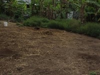 Bán 1,870m2 đất đường Cù Khắc Kiệm, Tân An, Long An Bán 1,870m2 đất đường Cù Khắc Kiệm, Tân An, Long An