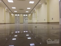 Bán Nhà Mặt Phố Nguyễn Khang 7 Tầng 1 Hầm 140m2/ mặt tiền 7m Chính Chủ Bán Nhà Mặt Phố Nguyễn Khang 7 Tầng 1 Hầm 140m2/ mặt tiền 7m Chính Chủ