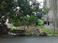 Bán Tây Mỗ 30M 30tr/m vuông vắn,dân trí cao,An ninh tốt,thoáng Bán Tây Mỗ 30M 30tr/m vuông vắn,dân trí cao,An ninh tốt,thoáng
