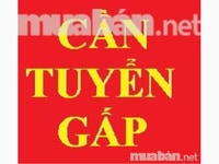 Tuyển nhân công cho Xưởng sản xuất chế biến TP lợn, gà,bò Tuyển nhân công cho Xưởng sản xuất chế biến TP lợn, gà,bò