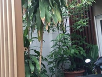 Bán spa 40m2 - 3 tầng đường Tân Hòa Đông, Quận 6 Bán spa 40m2 - 3 tầng đường Tân Hòa Đông, Quận 6