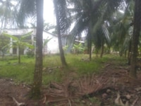 Bán 1200m2 đất vườn tại xã Hòa Lộc - Mỏ Cài Bắc - Bến Tre . Bán 1200m2 đất vườn tại xã Hòa Lộc - Mỏ Cài Bắc - Bến Tre .