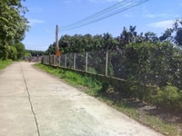 Bán 5.000m2 vườn bưởi Tân Triều, hạ tầng đẹp, giá mềm Bán 5.000m2 vườn bưởi Tân Triều, hạ tầng đẹp, giá mềm