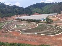 đất trang trại trồng rau thủy canh tại lâm đồng đất trang trại trồng rau thủy canh tại lâm đồng