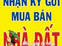 Nhà 1l1t đẹp 935 bình giã p.10 tpvt Nhà 1l1t đẹp 935 bình giã p.10 tpvt